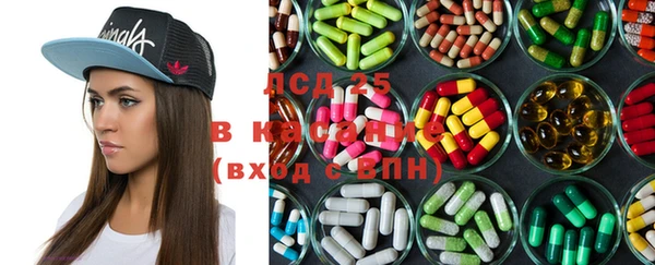 индика Семилуки