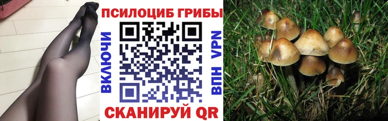 продажа наркотиков Кизел Псилоцибиновые грибы мухоморы